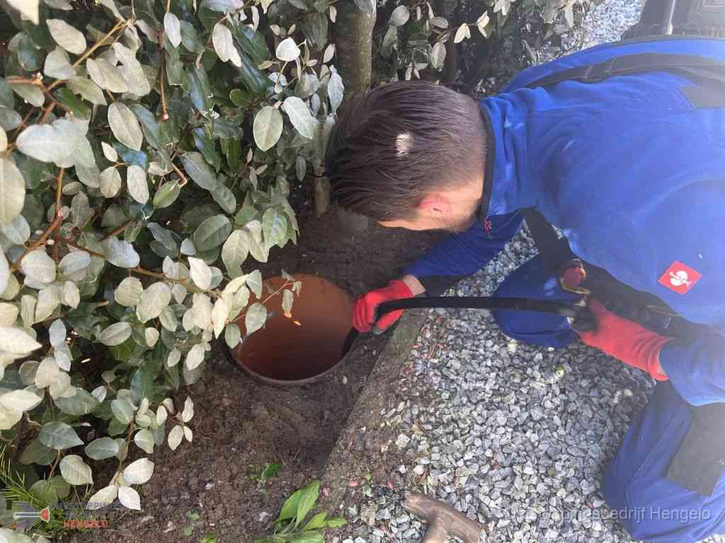 Rioolvliegjes Hengelo Rioolvliegjes Hengelo